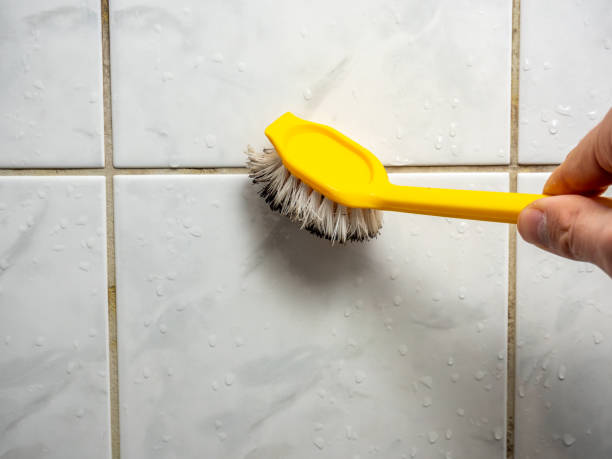 Best Mold Removal Near Me  in Tega Cay, SC