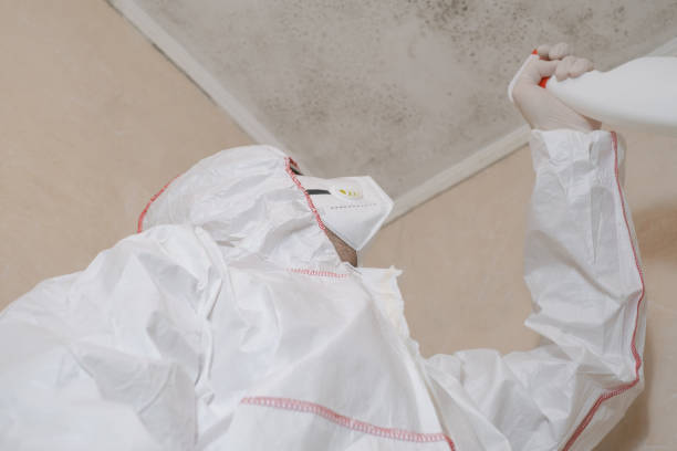 Best Office Mold Removal Services  in Tega Cay, SC